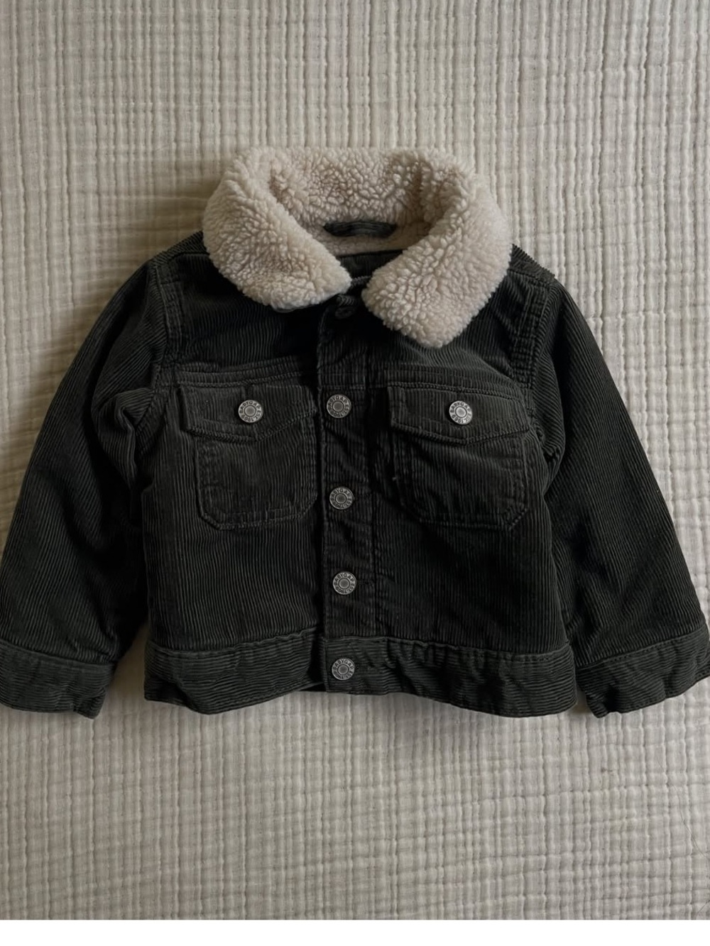 Gap kids Sherpa lined corduroy olive green jacket 0-6 months